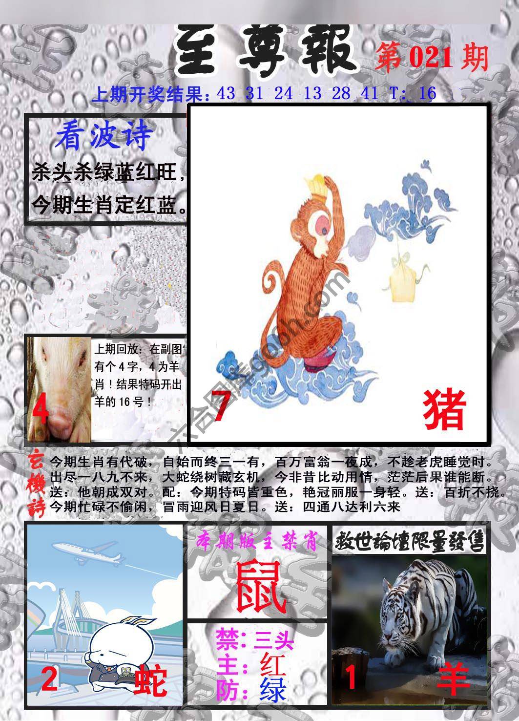 至尊报