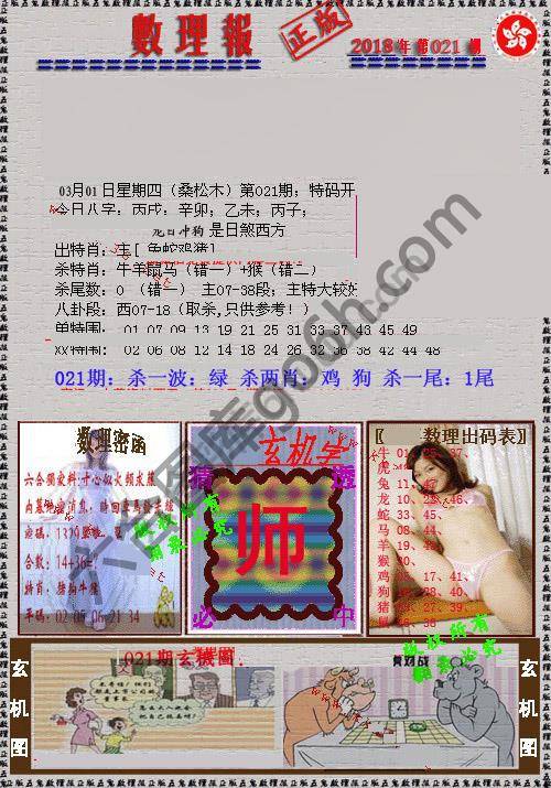 数理报