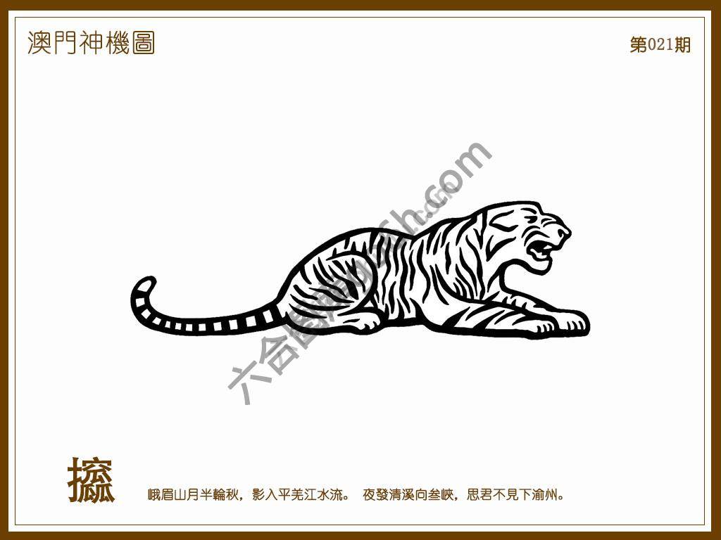 澳门神机图
