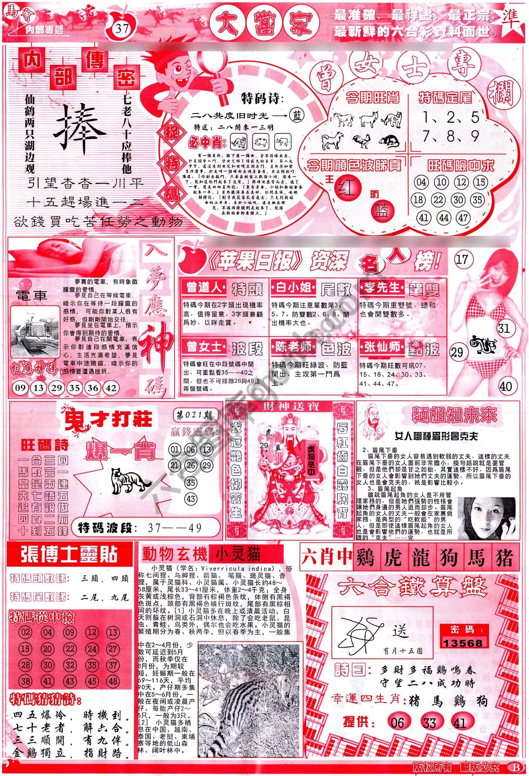 大当家