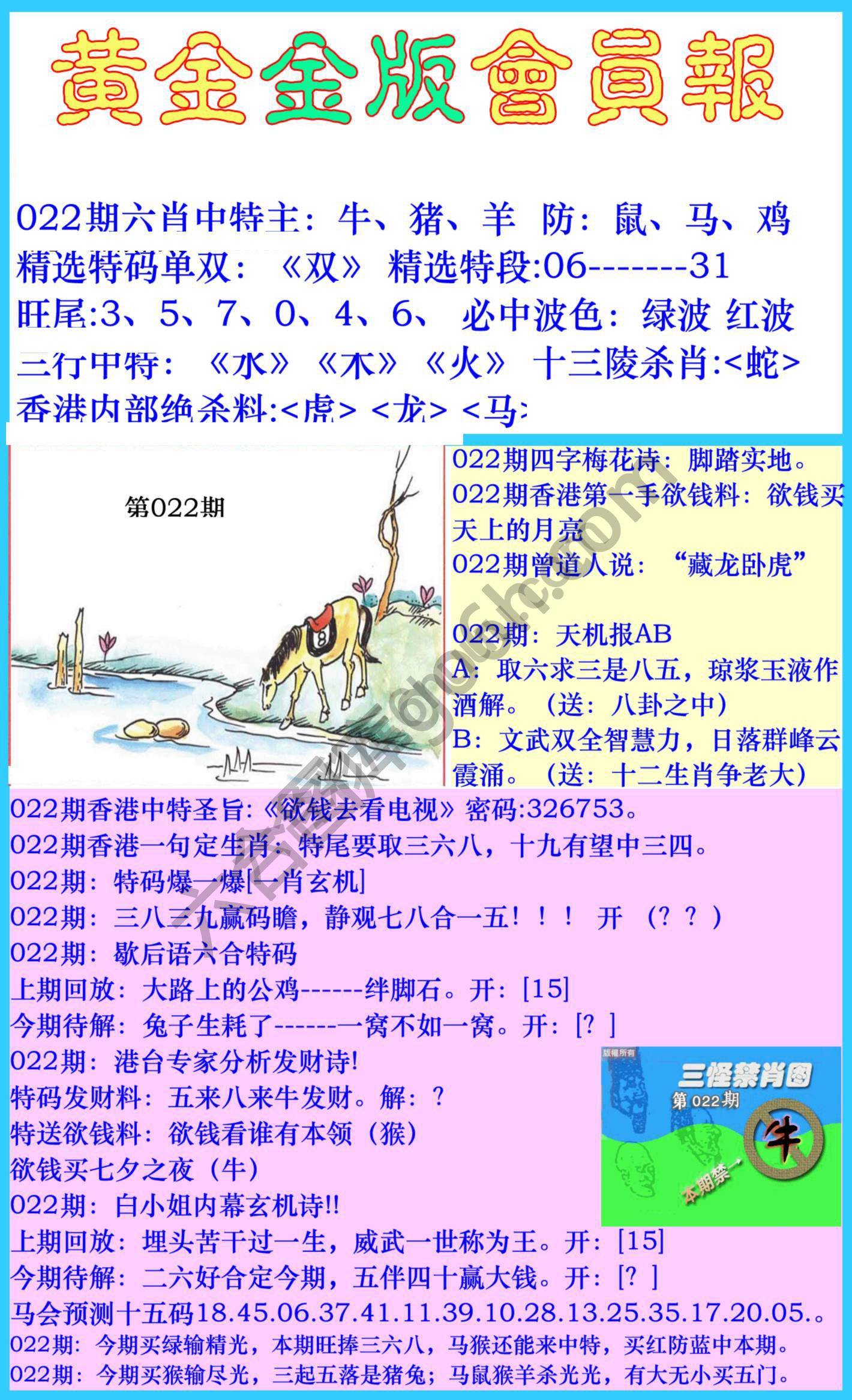 黄金金版会员报