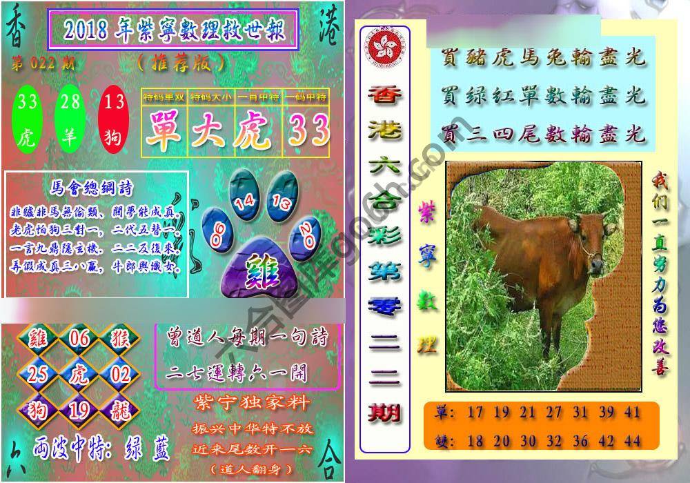 数理救世报