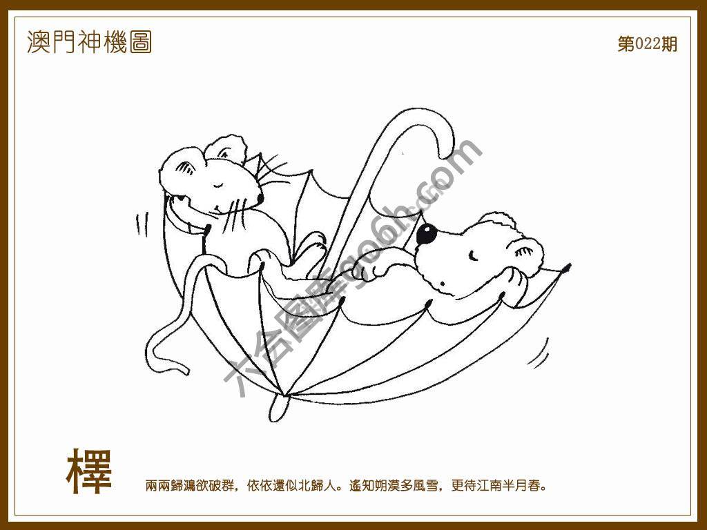 澳门神机图