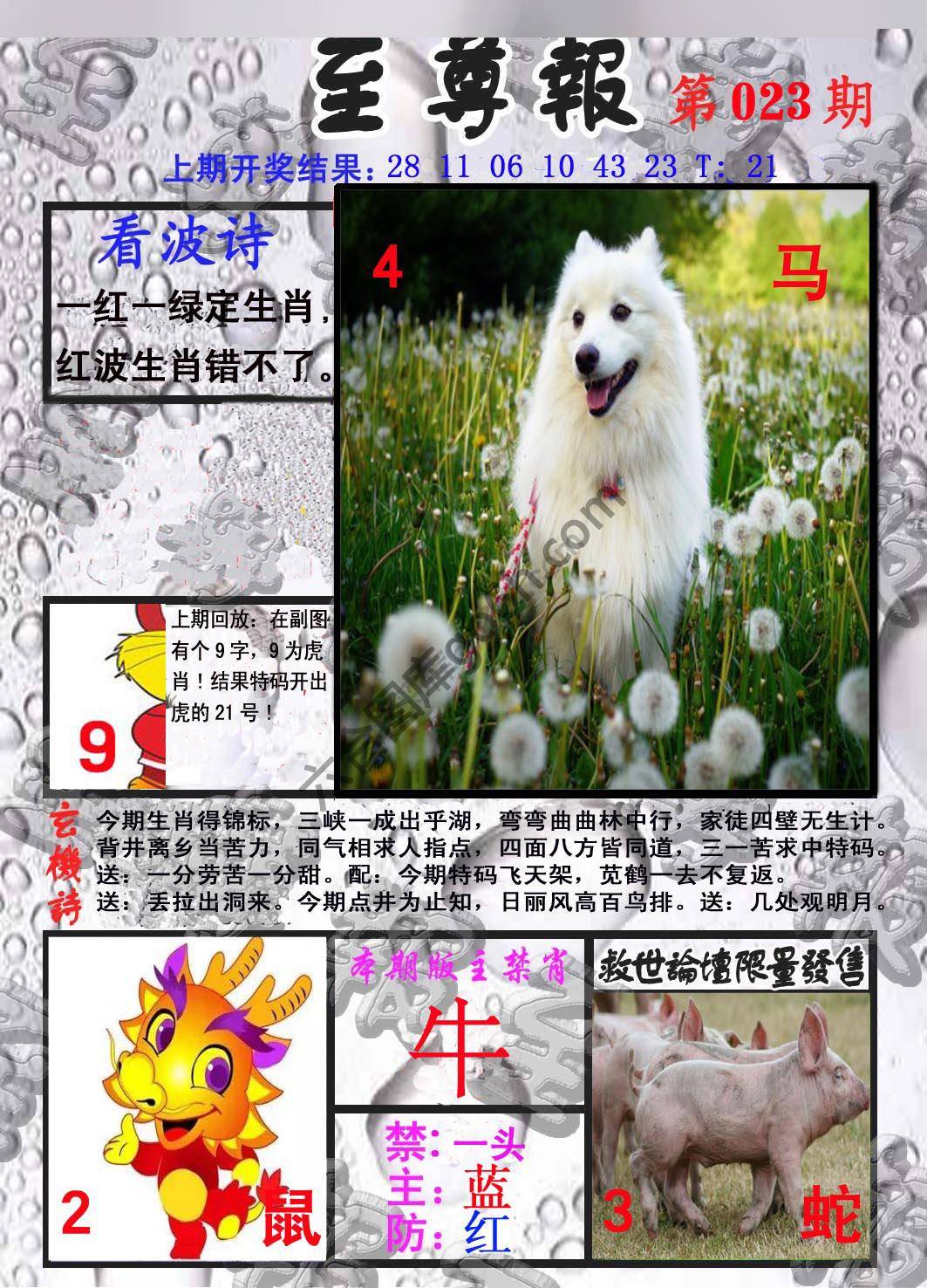 至尊报