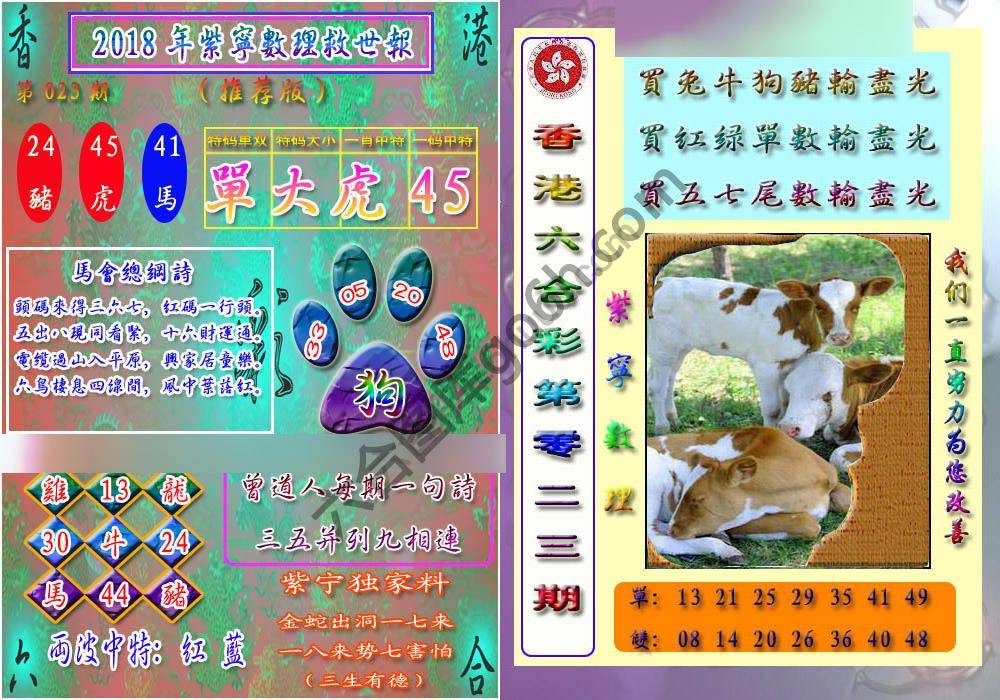 数理救世报