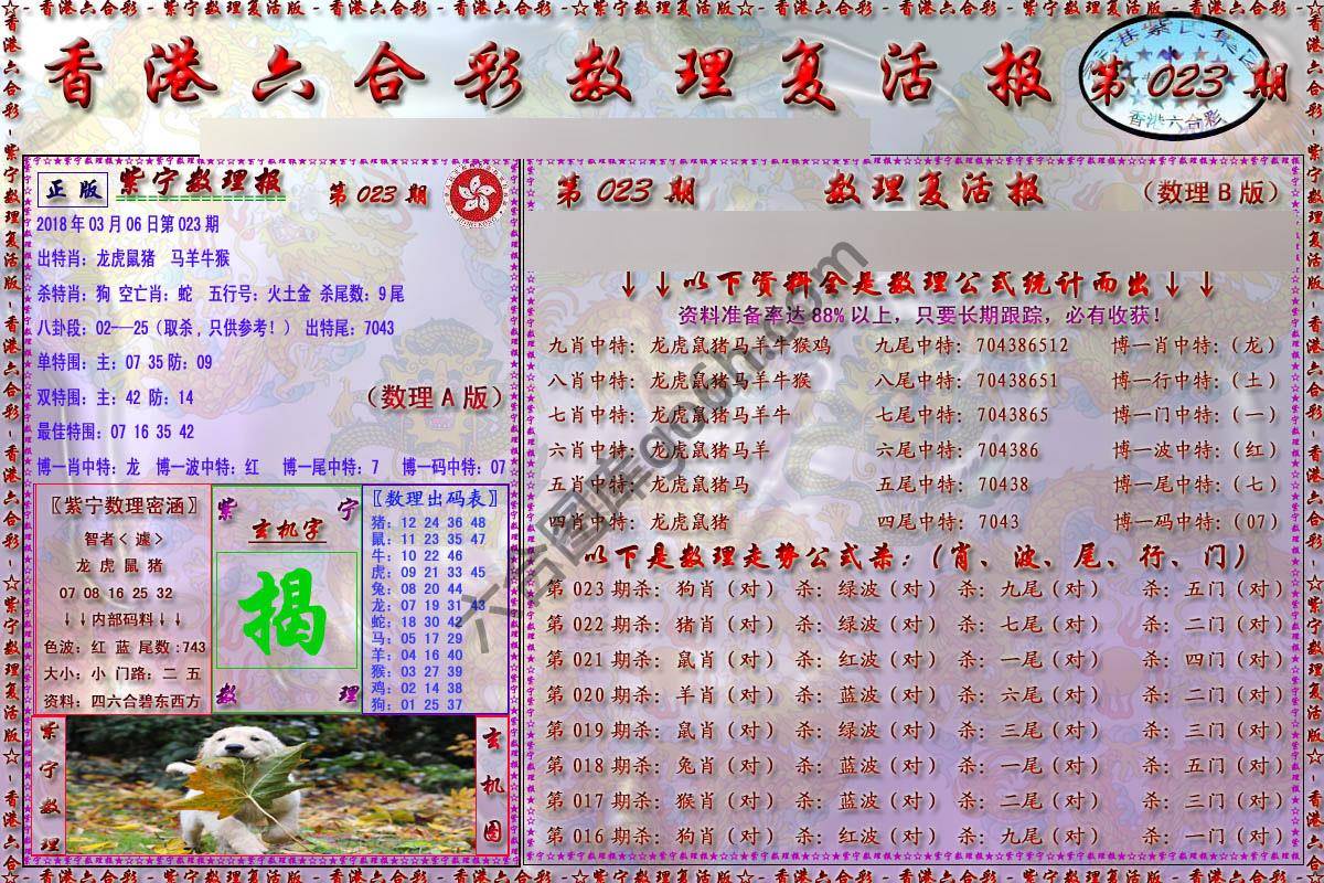 数理复活报