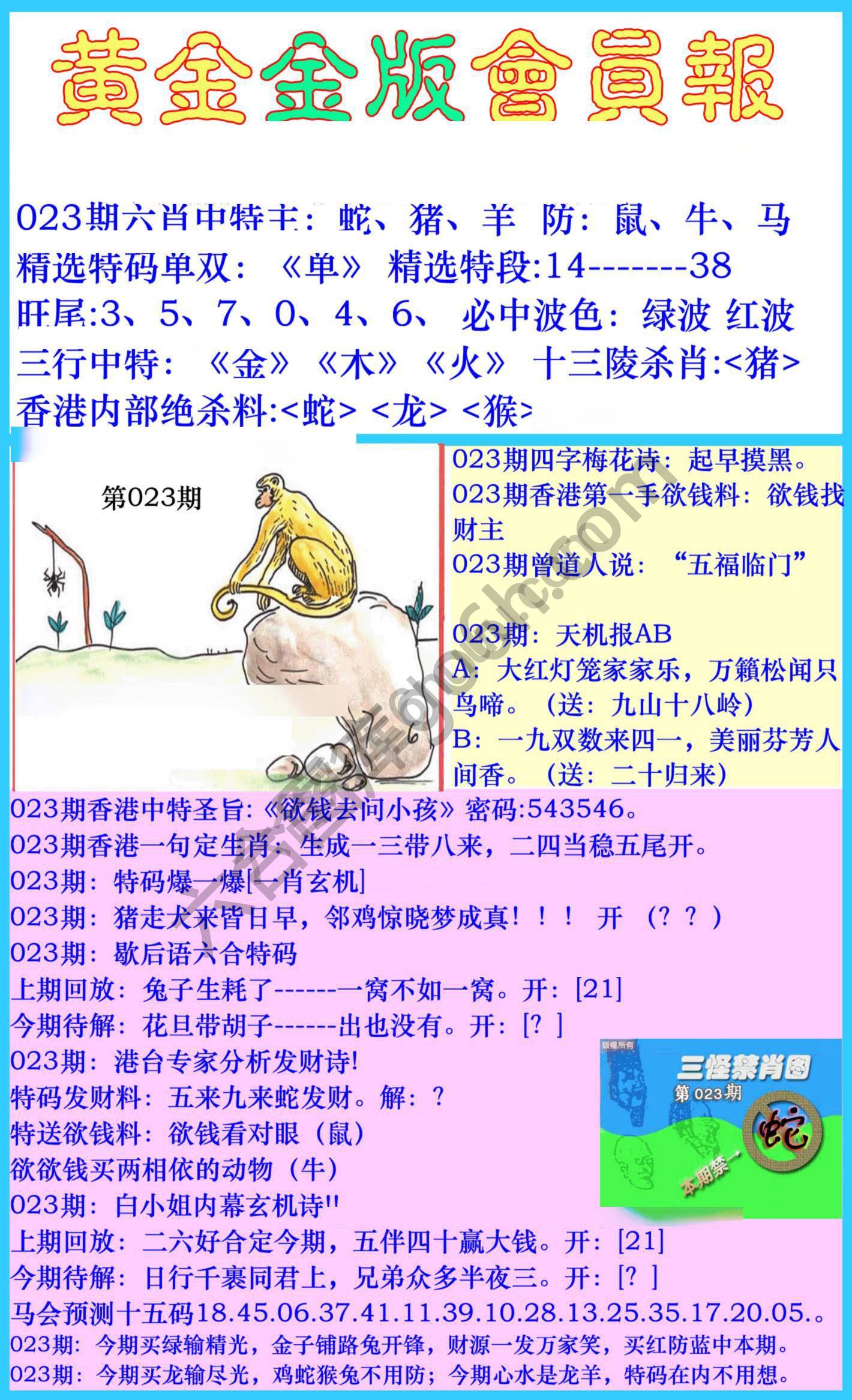 黄金金版会员报