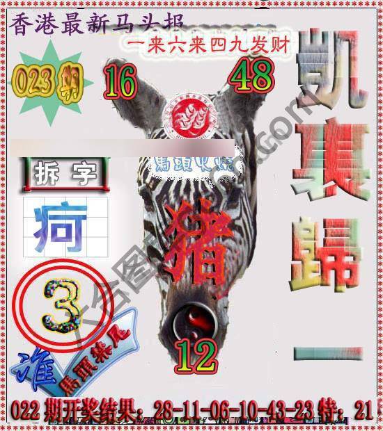 香港马头报