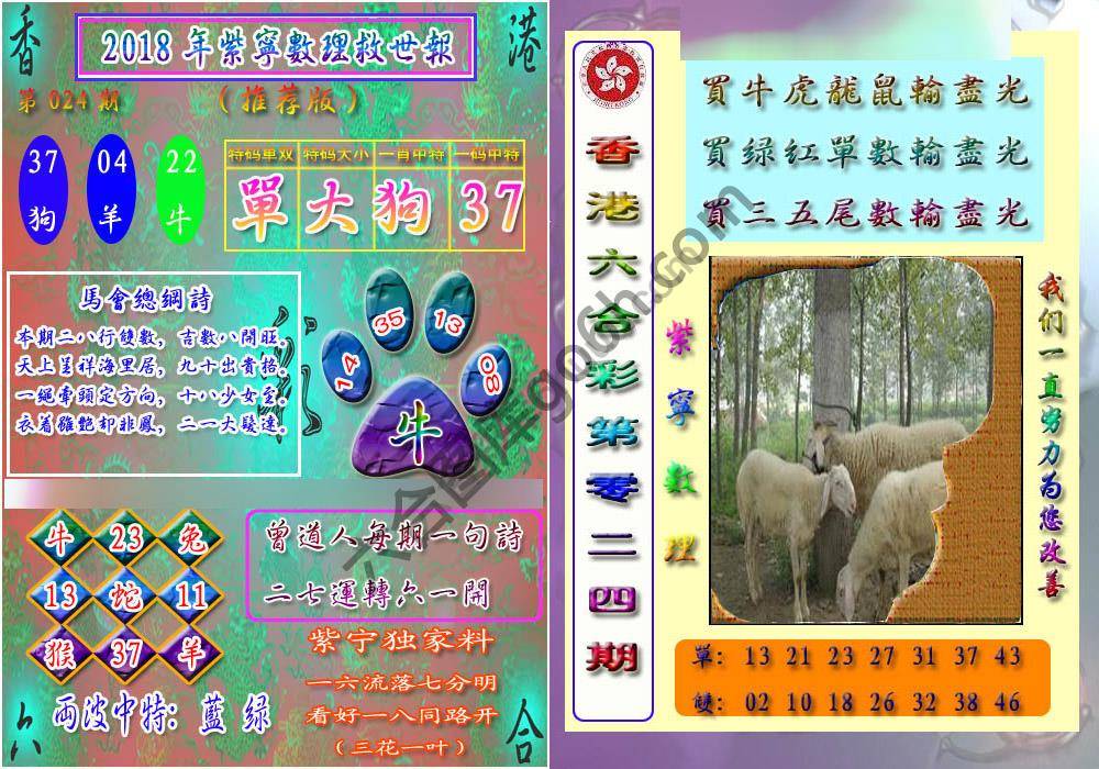 数理救世报