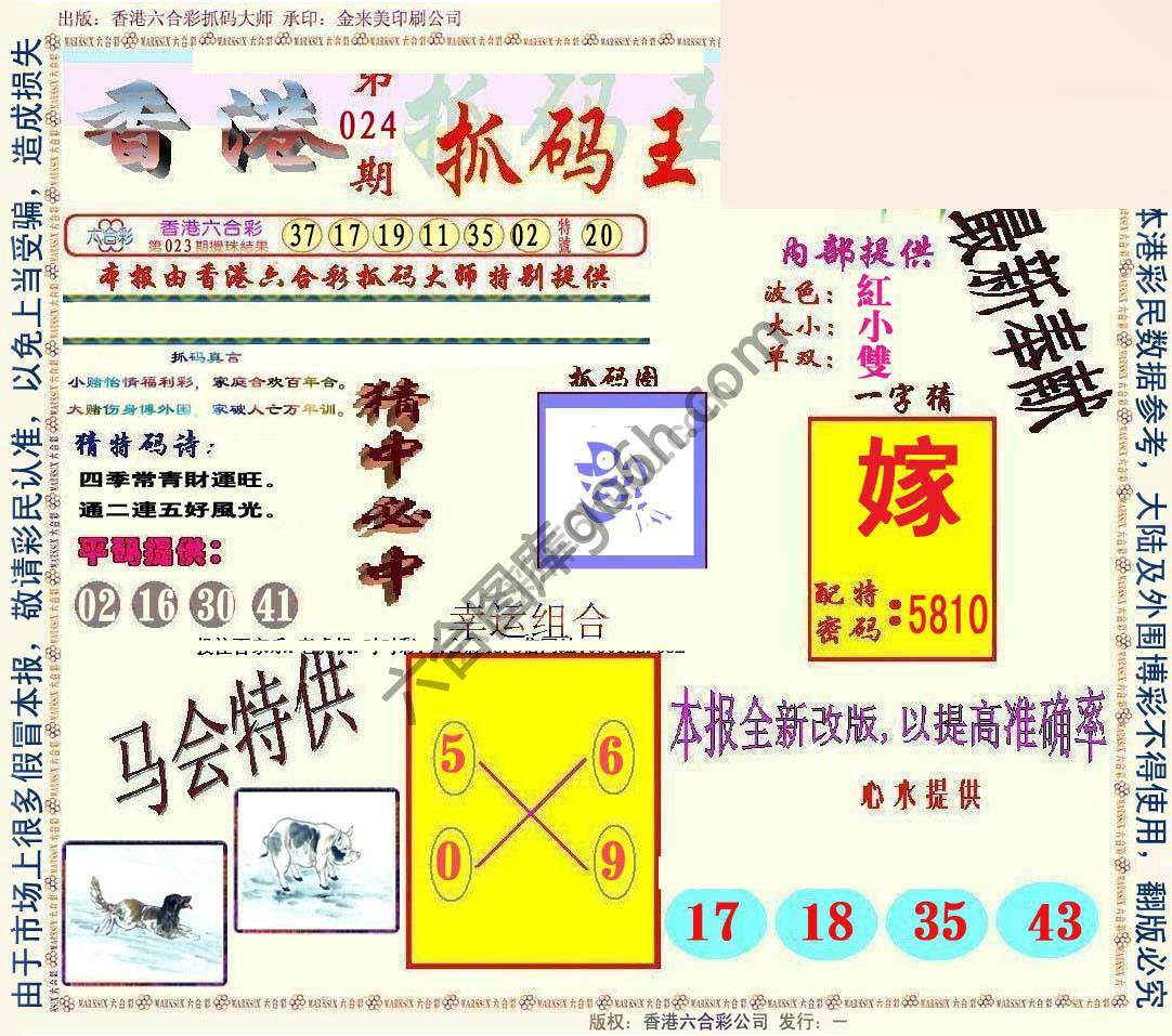 新抓码王