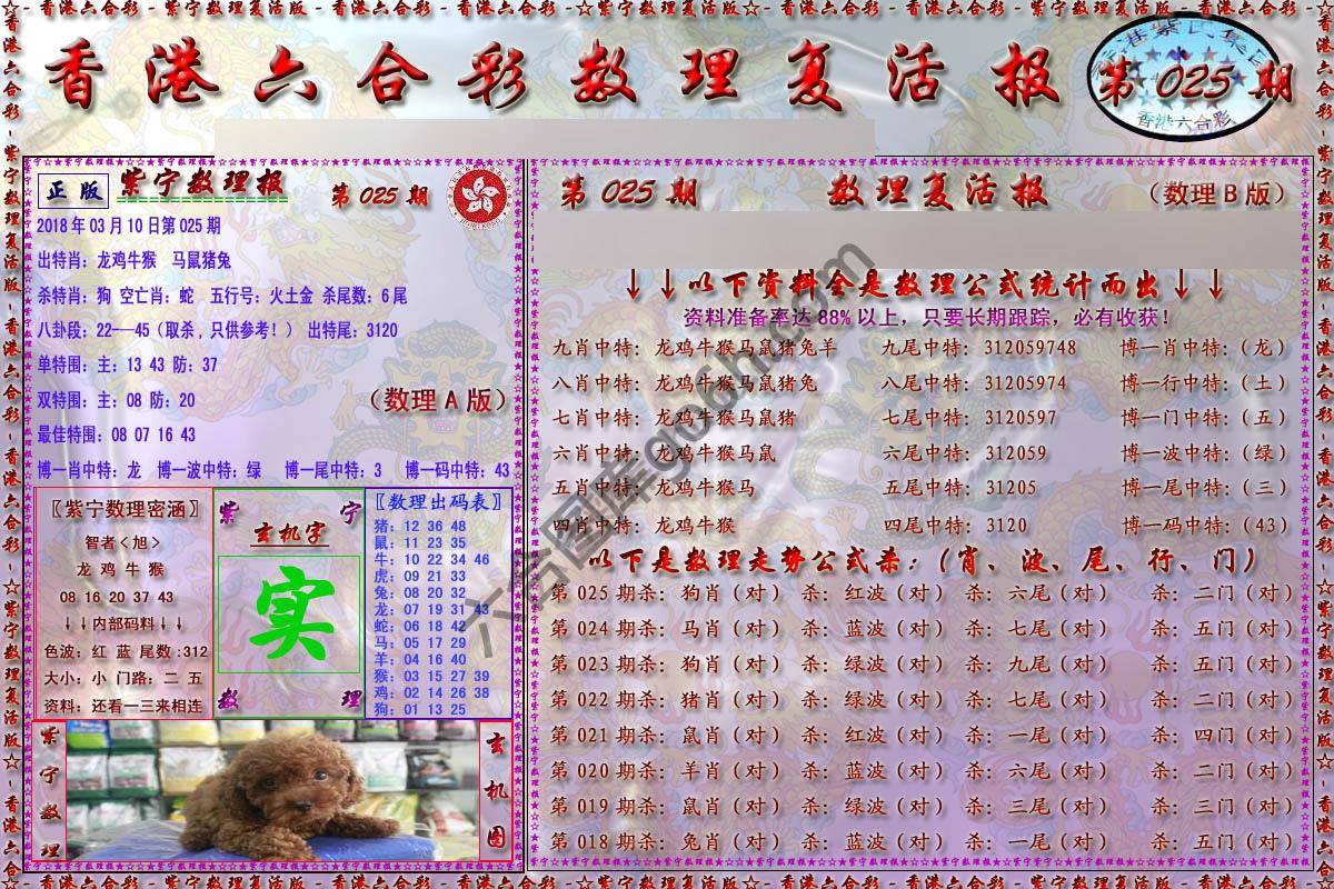 数理复活报