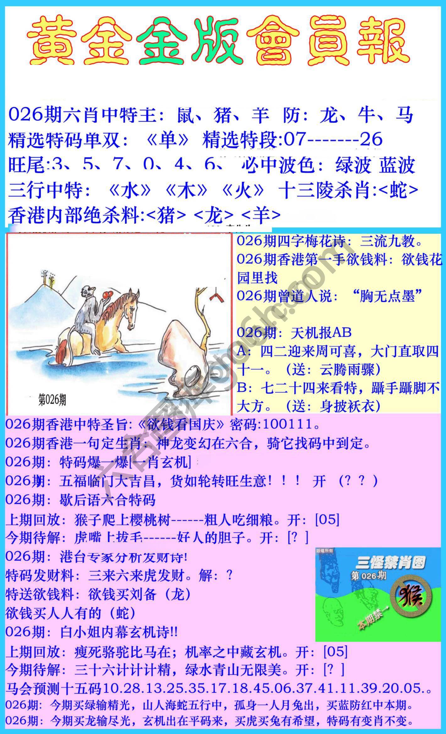 黄金金版会员报