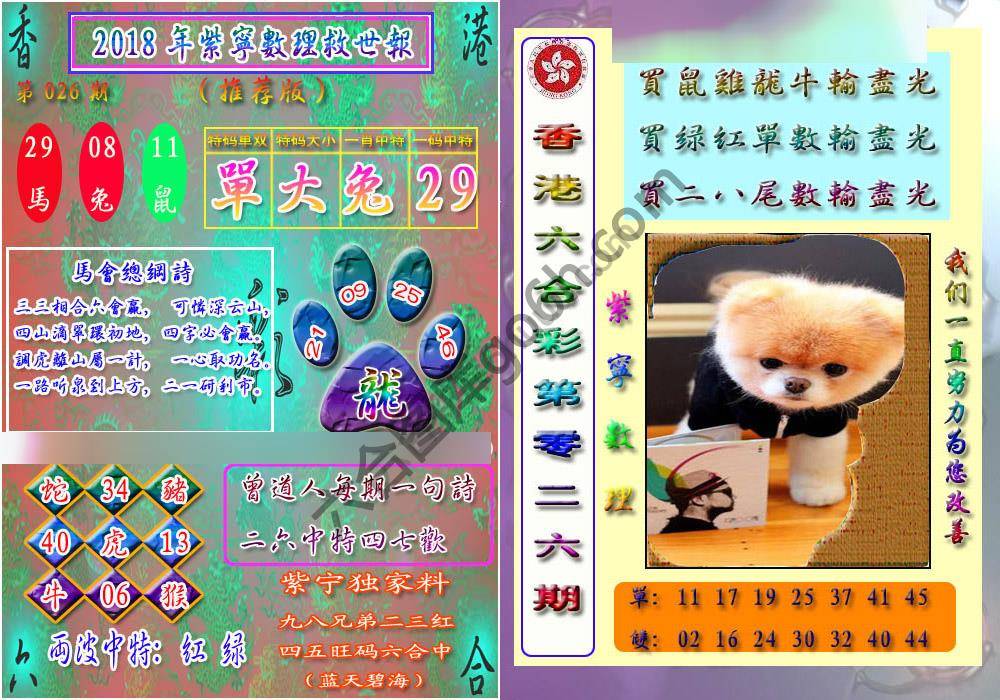 数理救世报