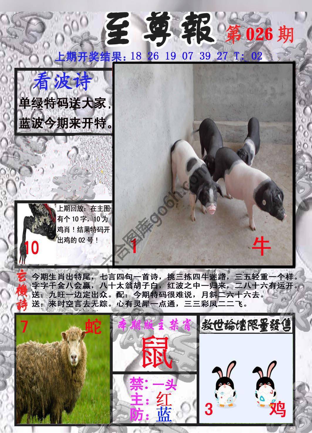 至尊报