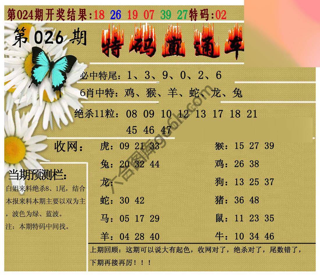 特码直通车