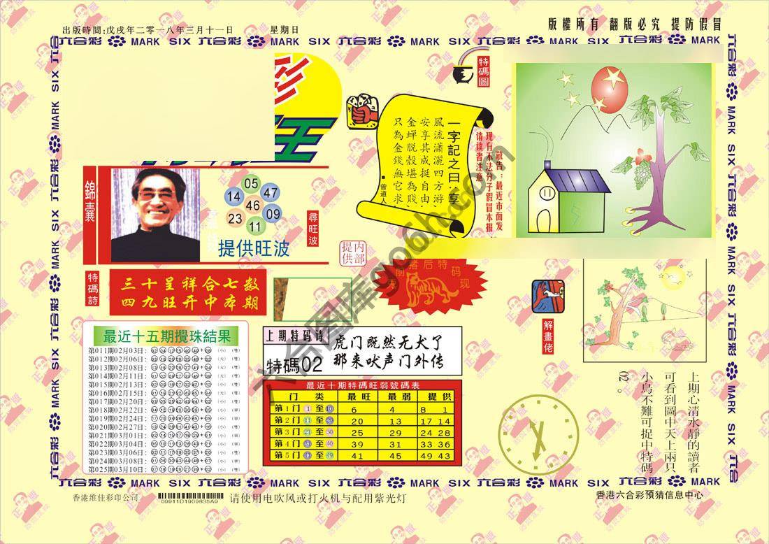 特码王