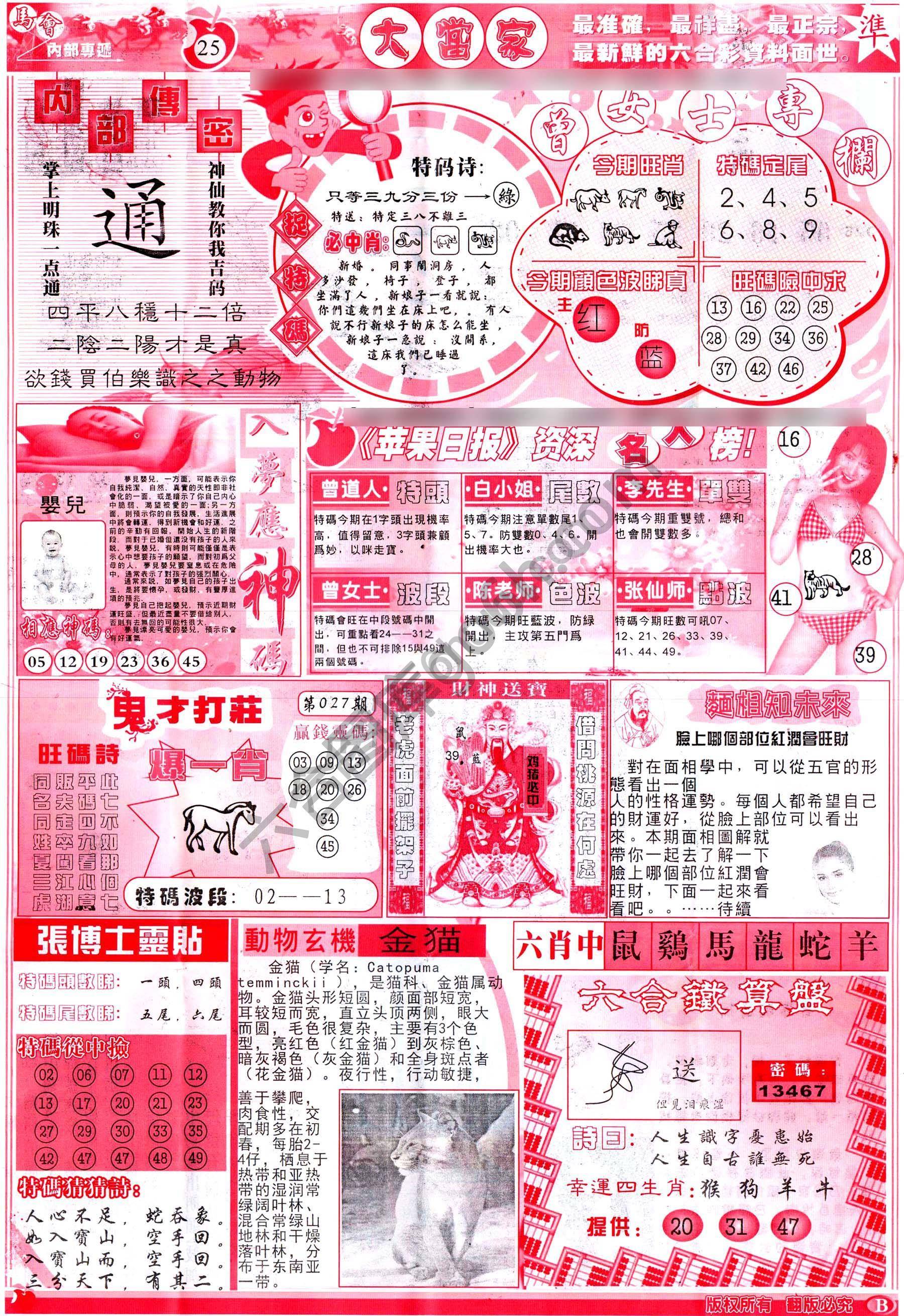 大当家