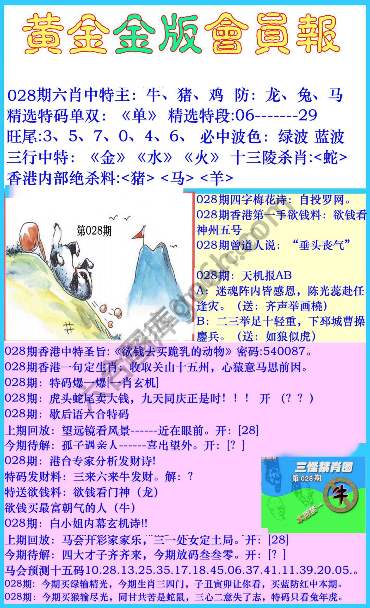 黄金金版会员报