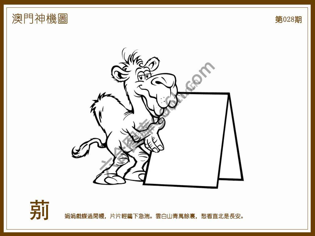 澳门神机图
