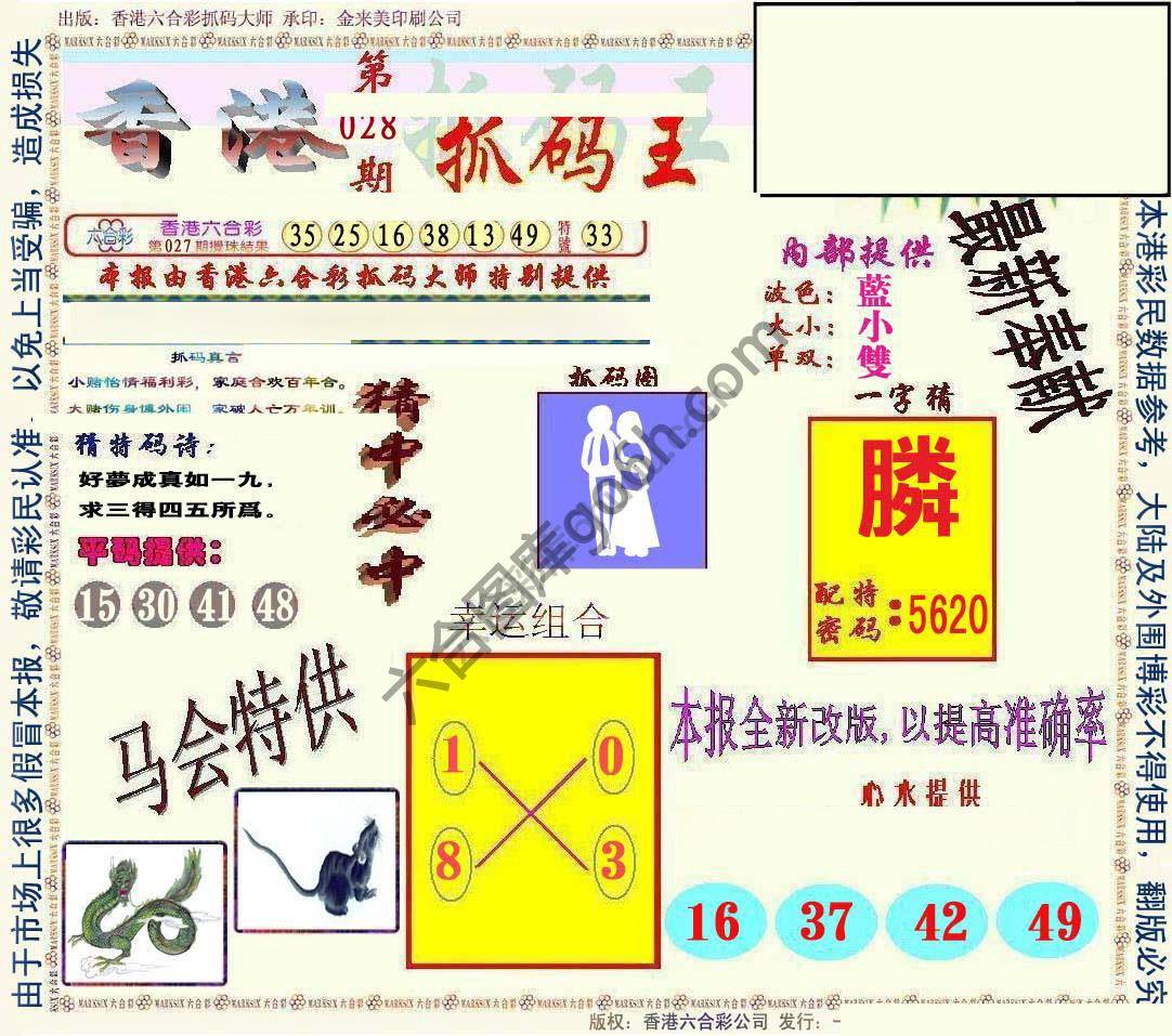 新抓码王