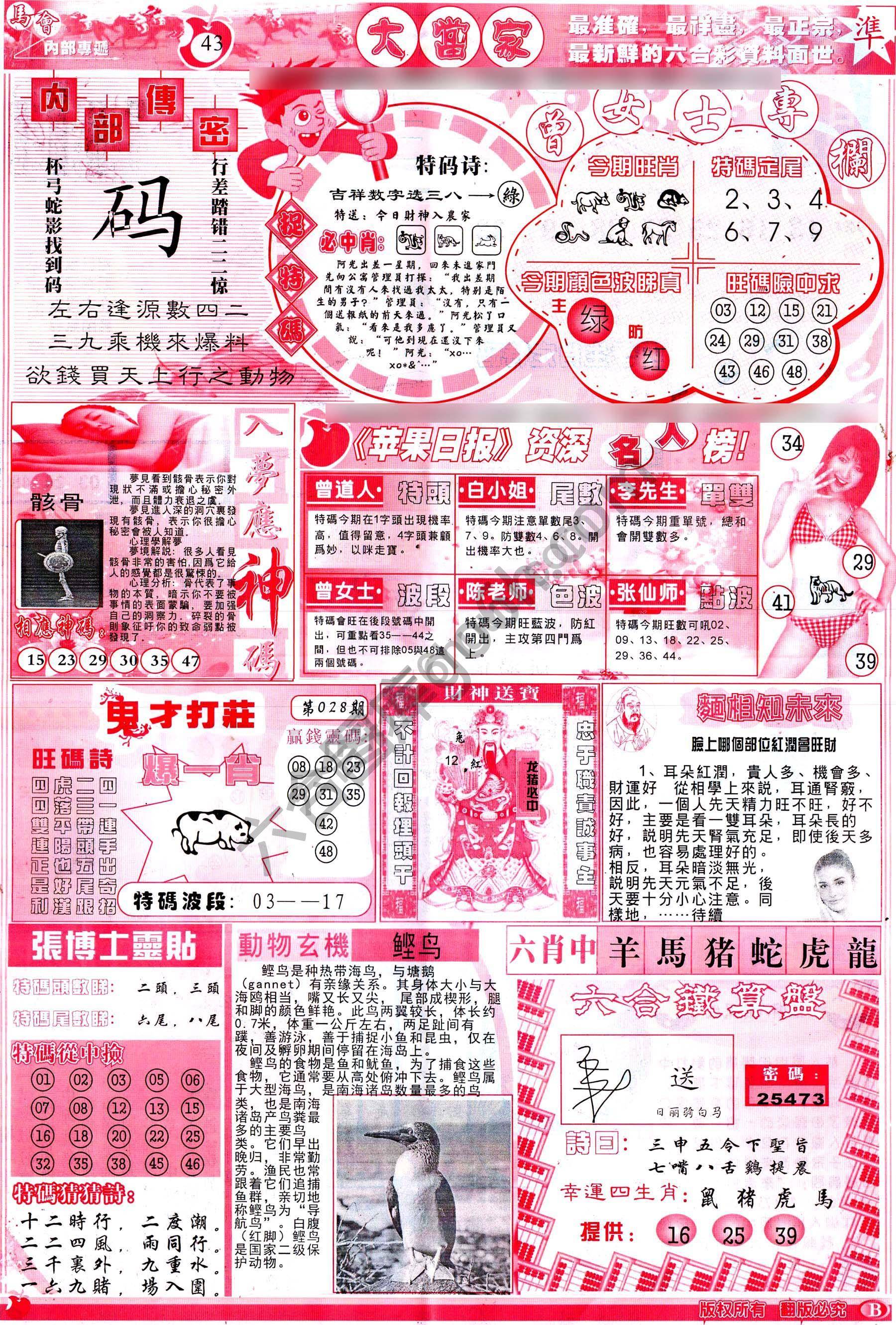 大当家