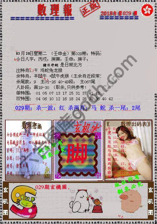 数理报