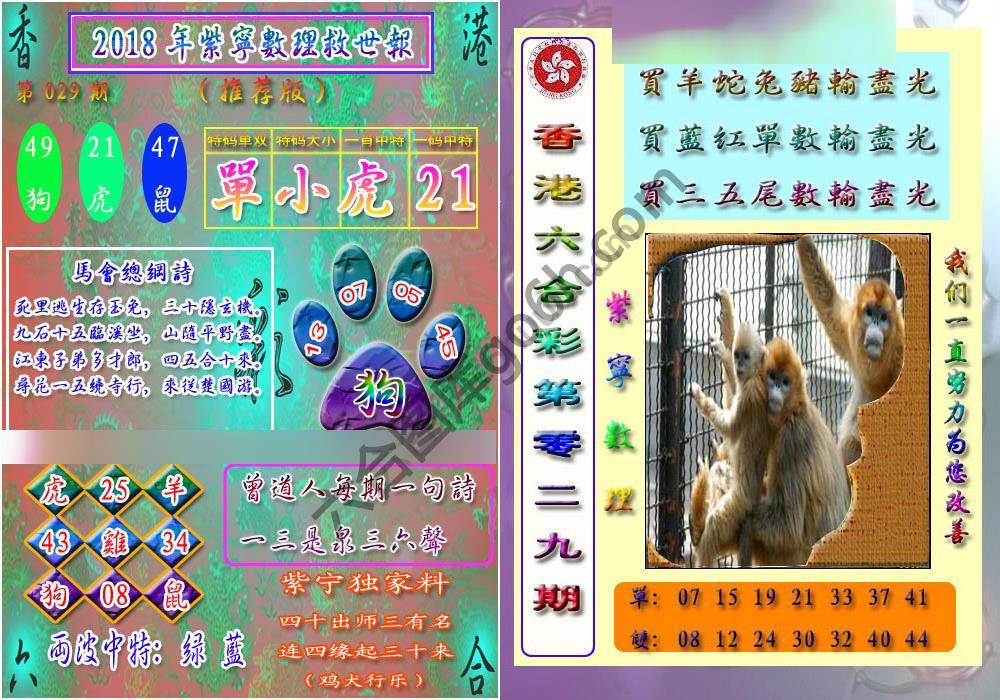 数理救世报