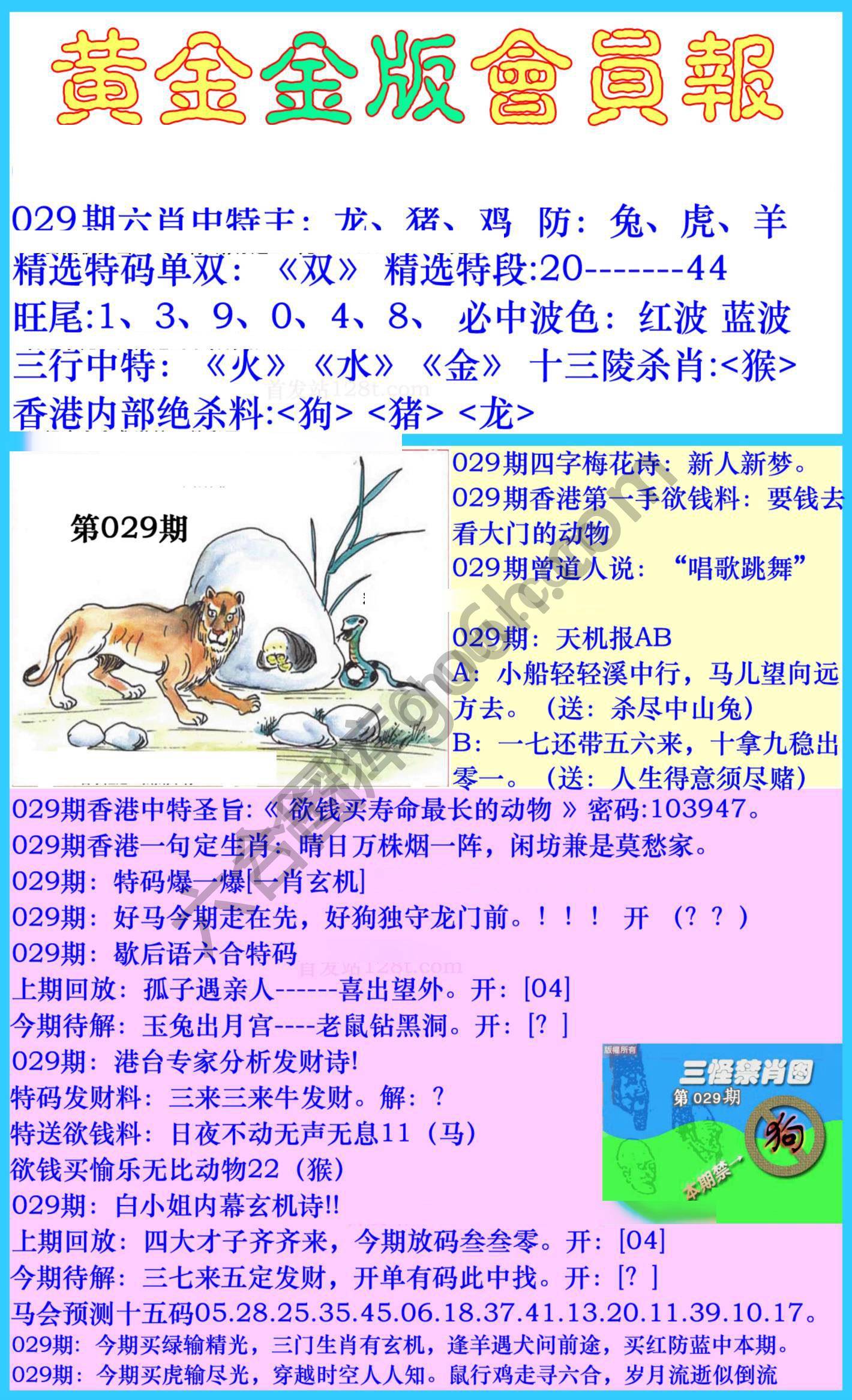 黄金金版会员报