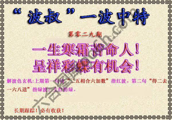 波叔一波中特
