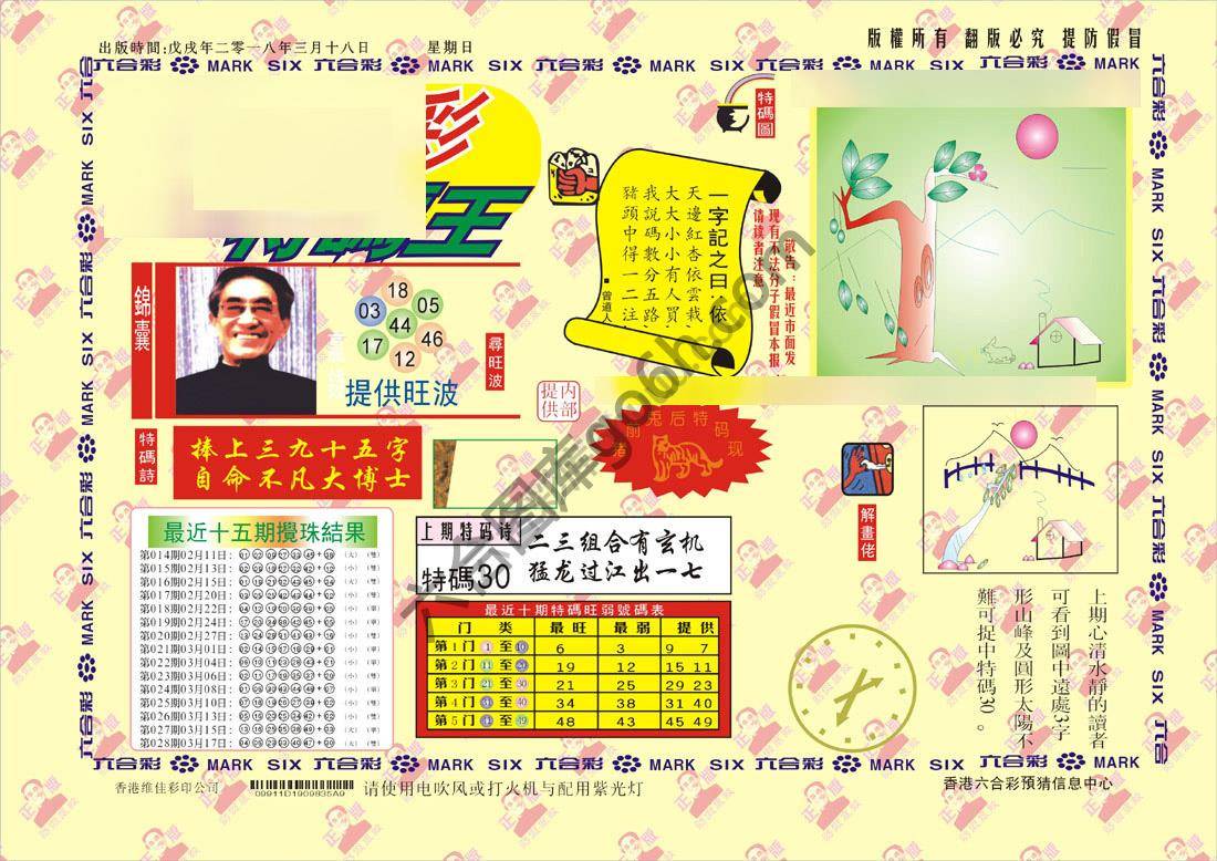 特码王