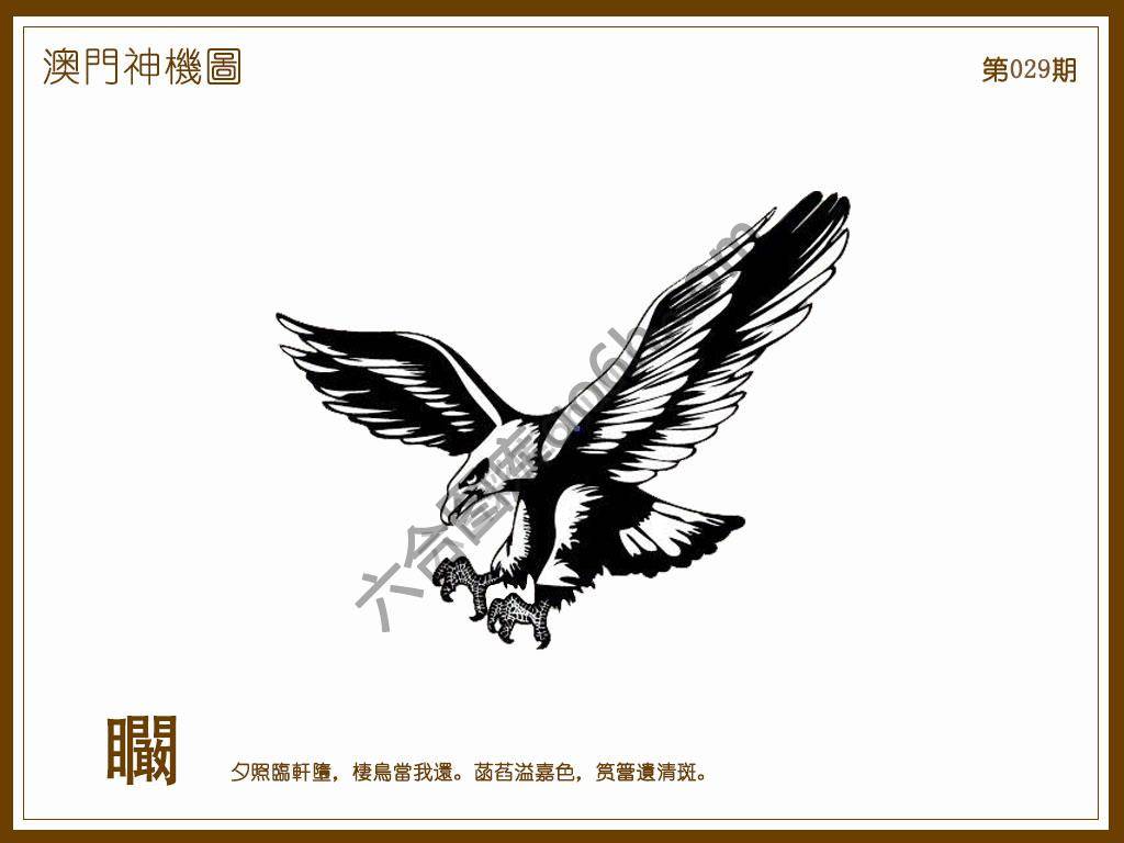 澳门神机图
