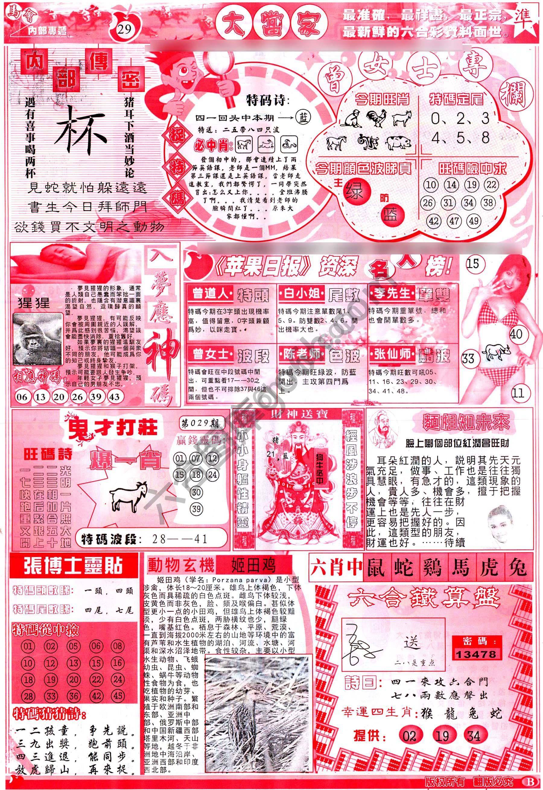 大当家