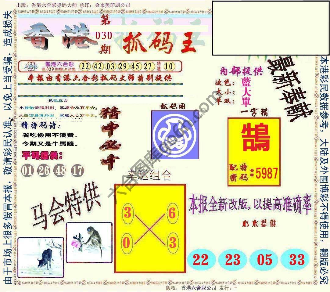 新抓码王