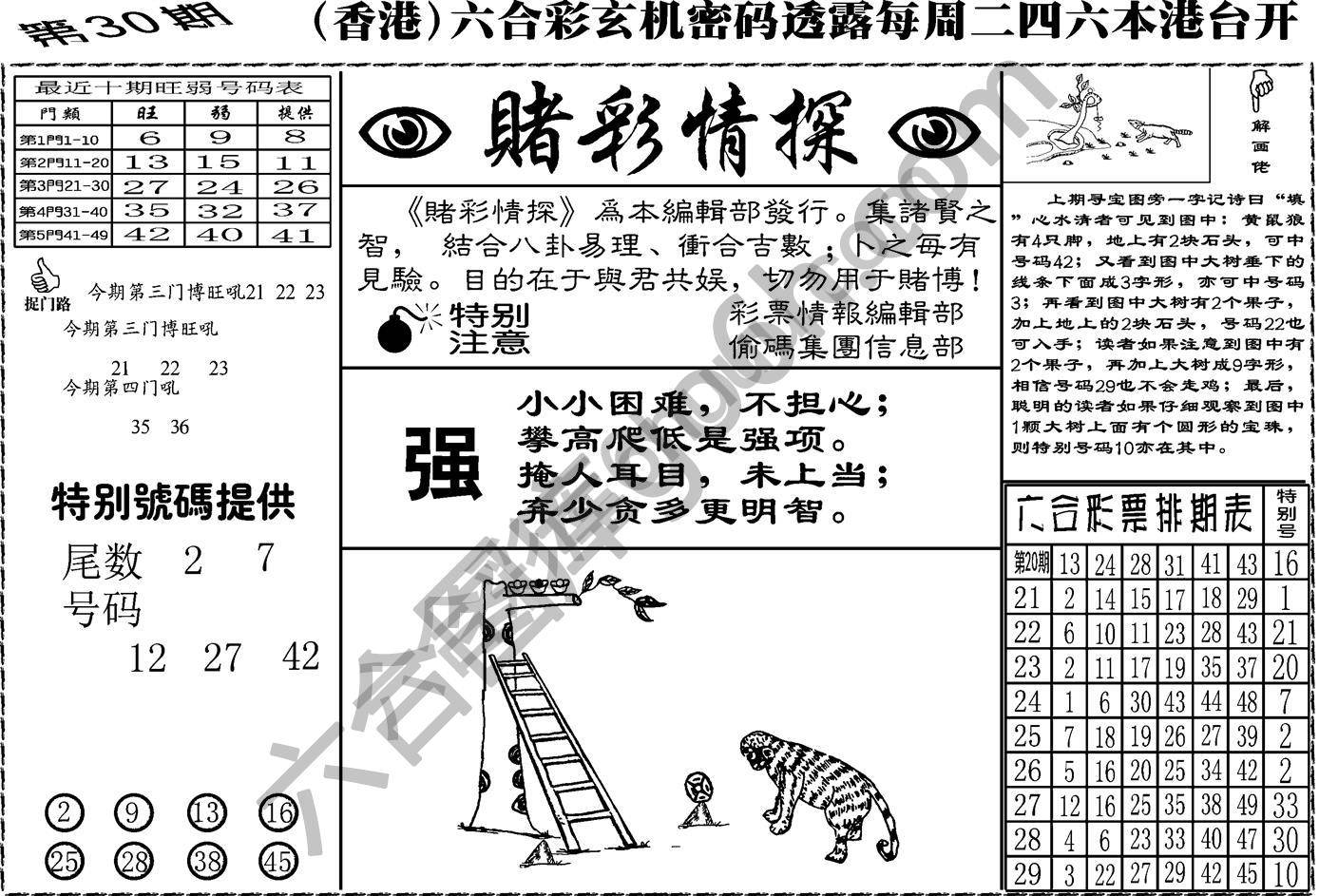 赌彩情探