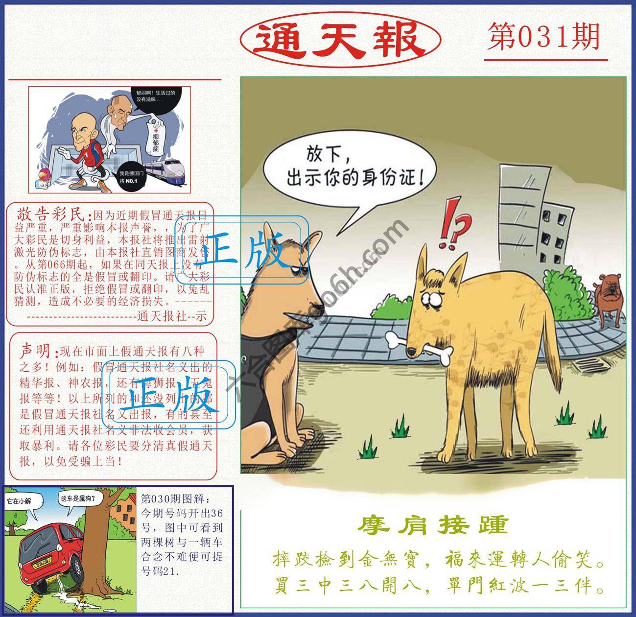 正版通天报