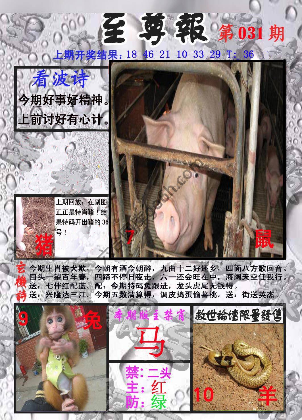 至尊报