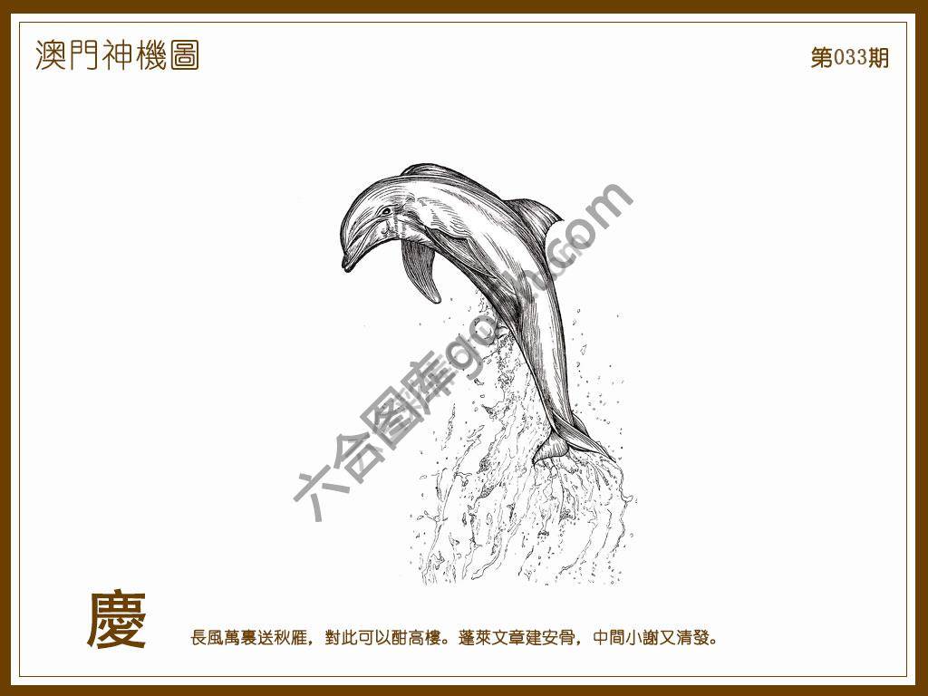 澳门神机图