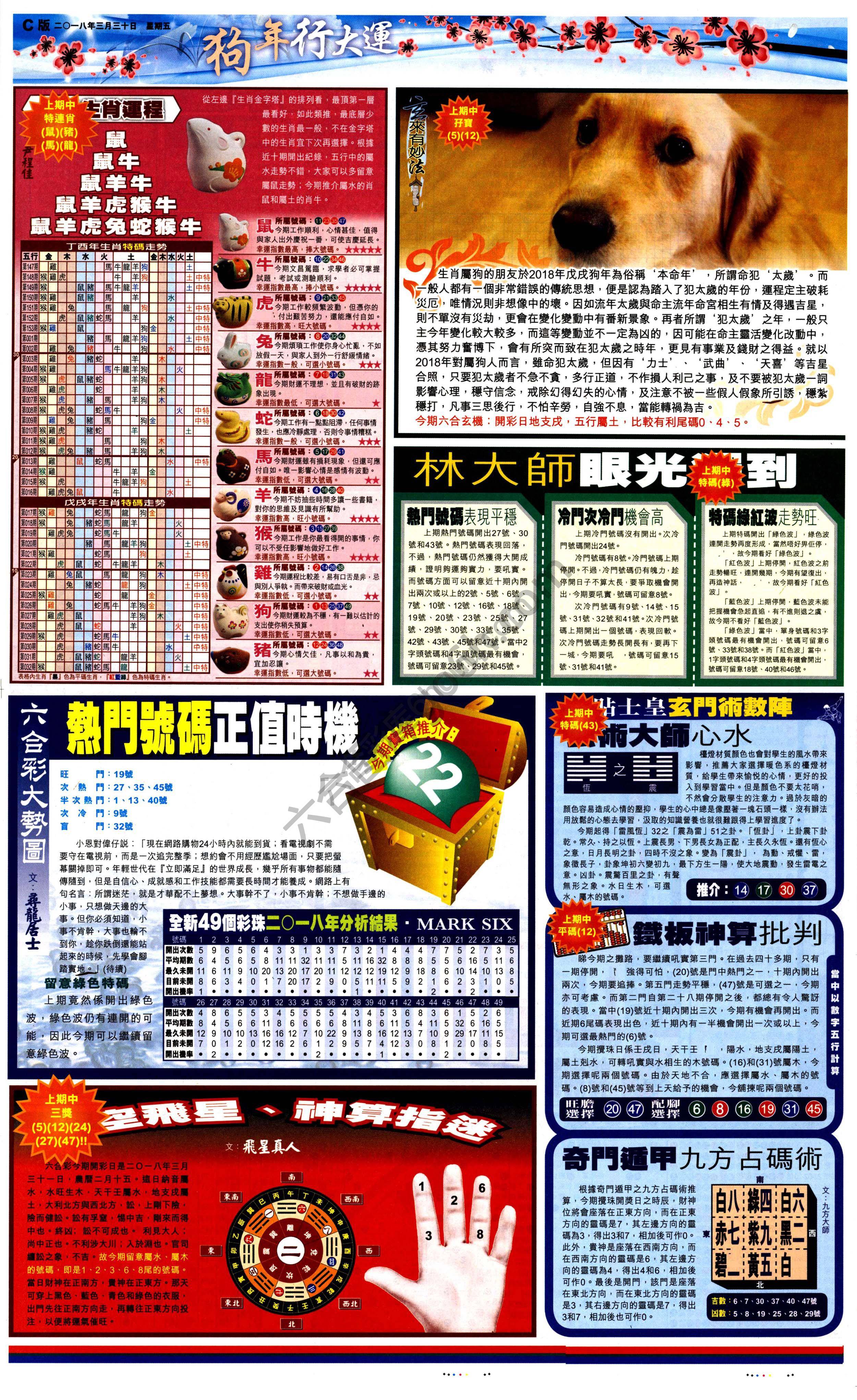 大版贴士皇
