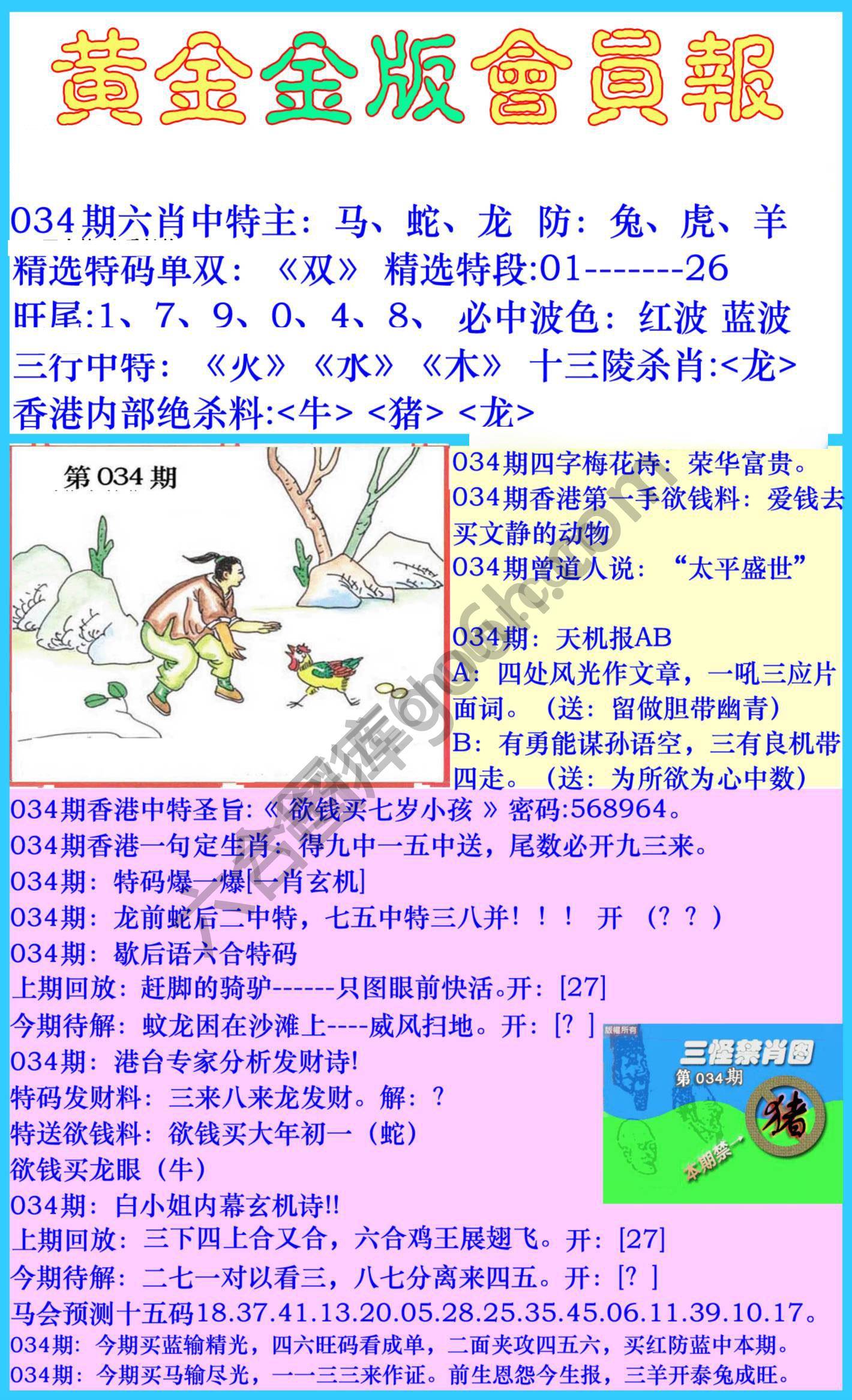 黄金金版会员报