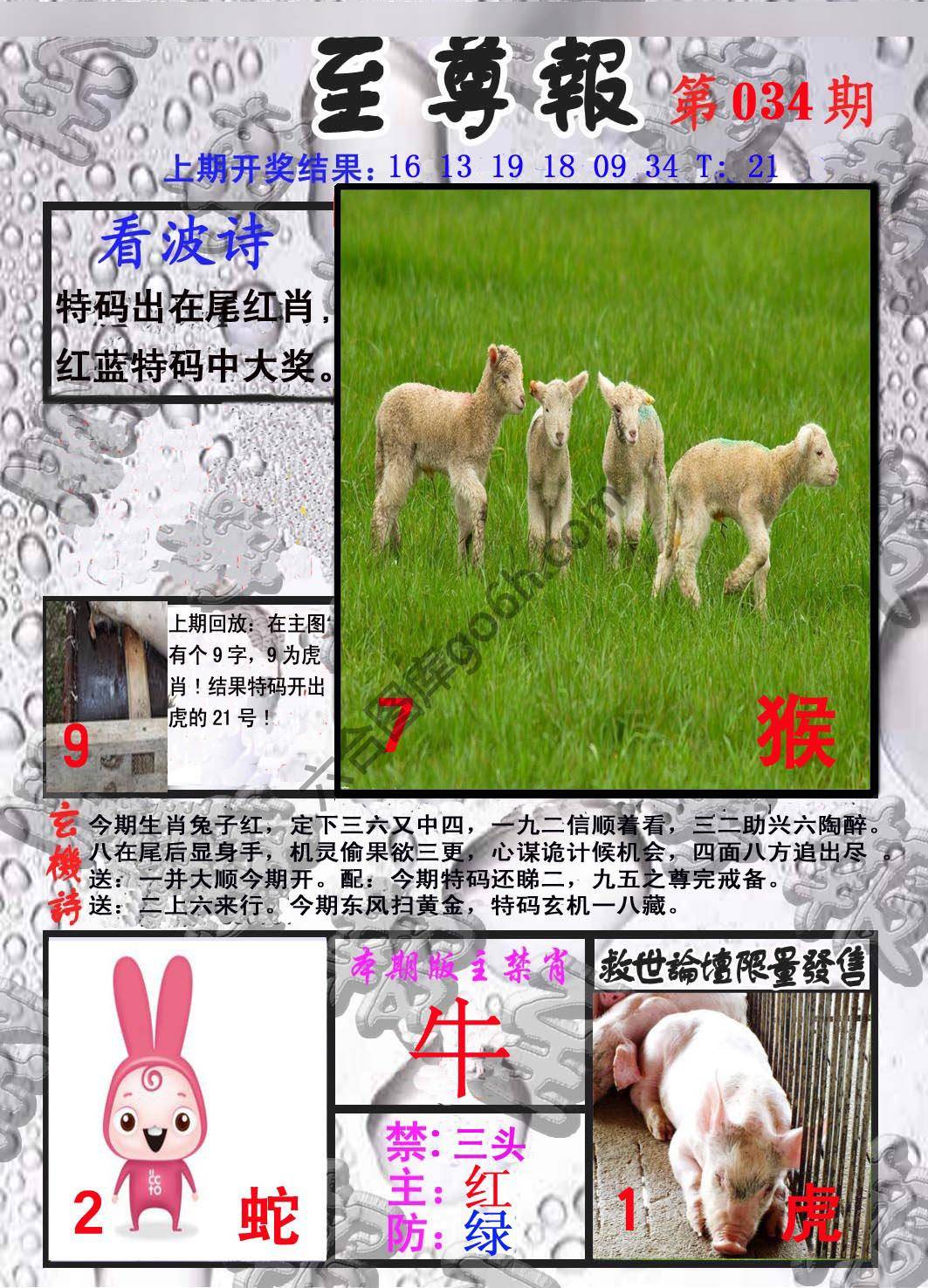 至尊报