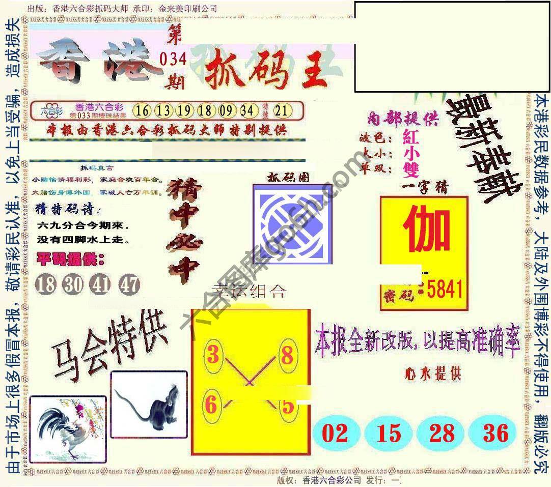 新抓码王