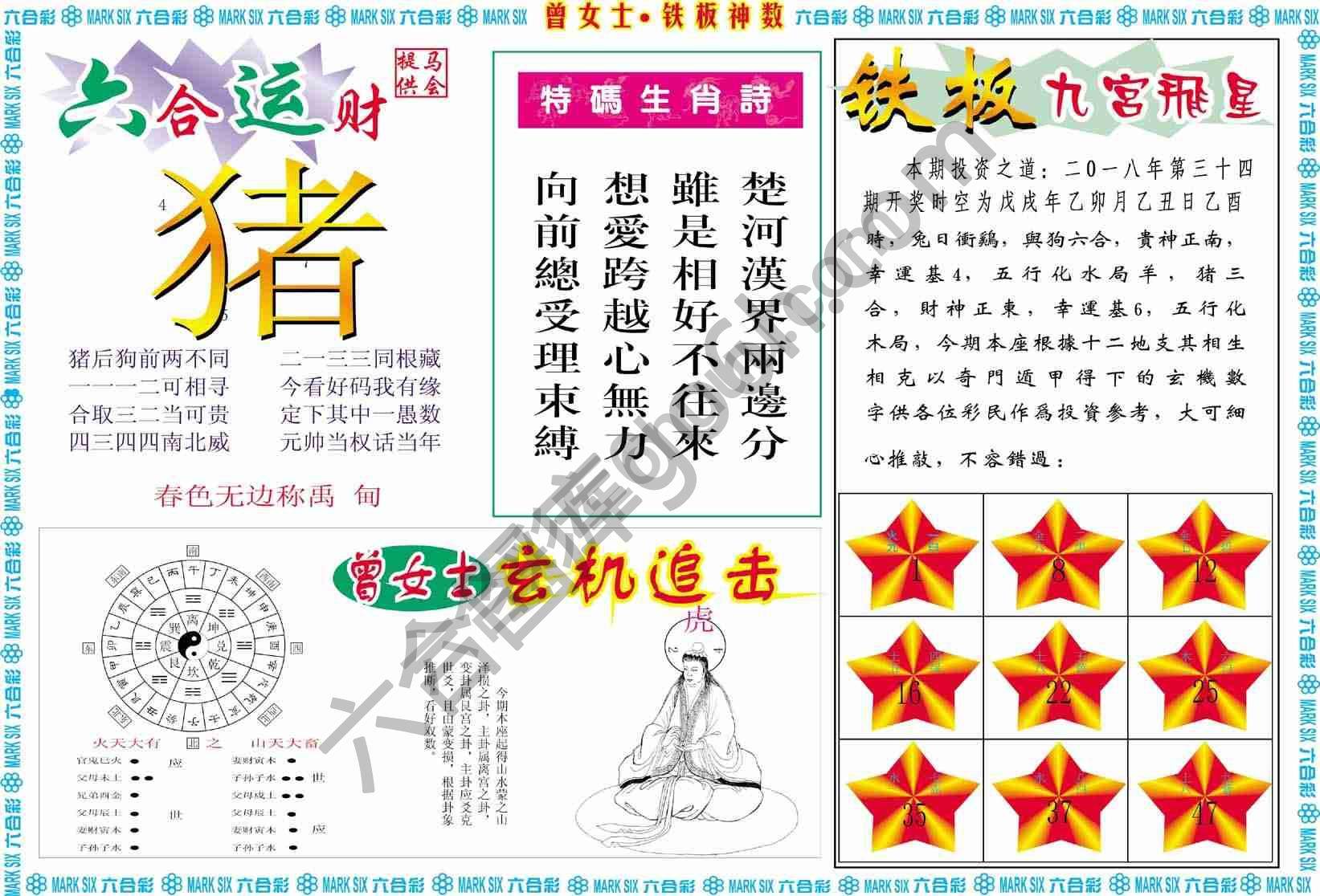 曾女士铁板神数