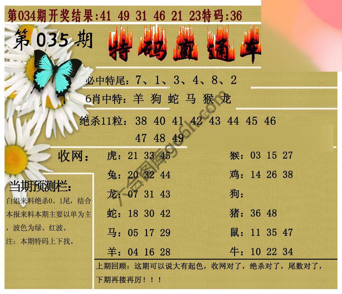 特码直通车