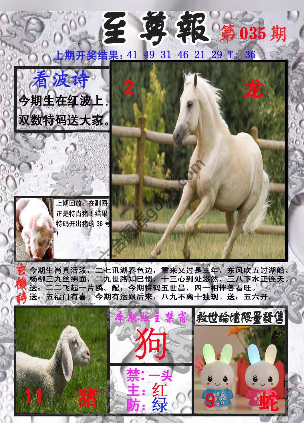 至尊报