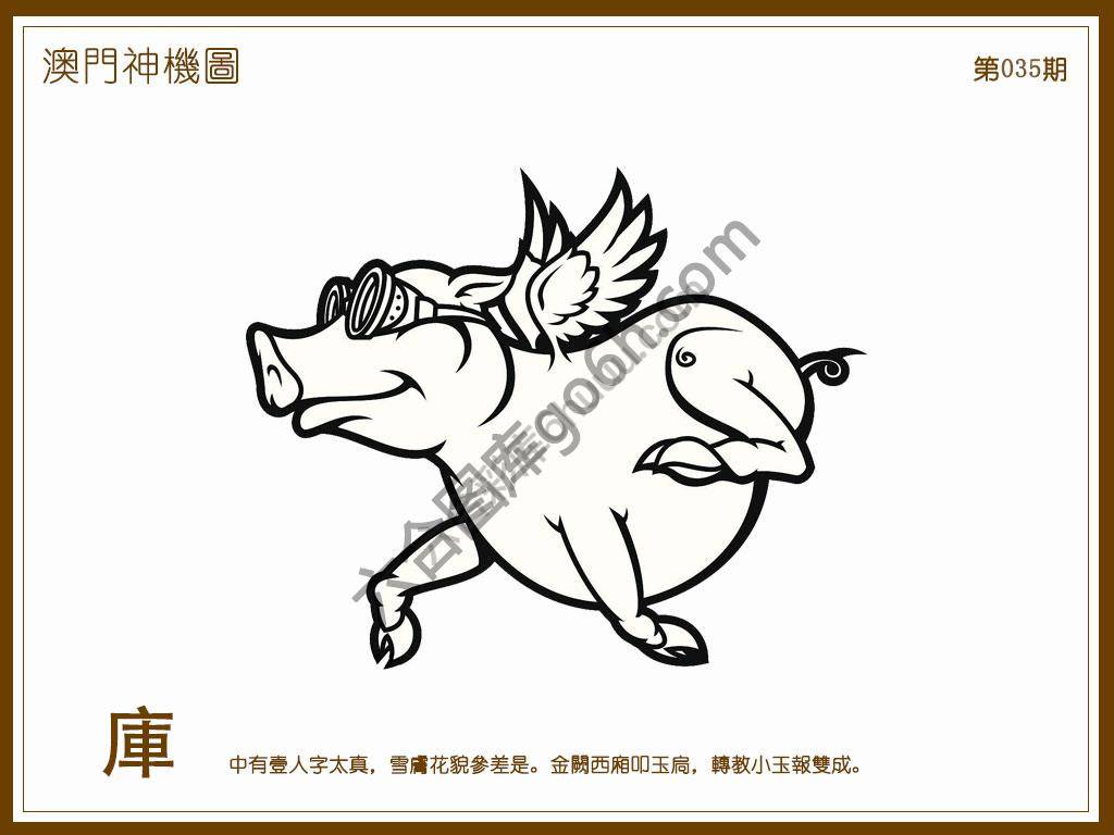 澳门神机图