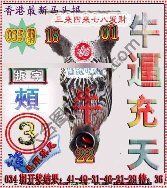 香港马头报