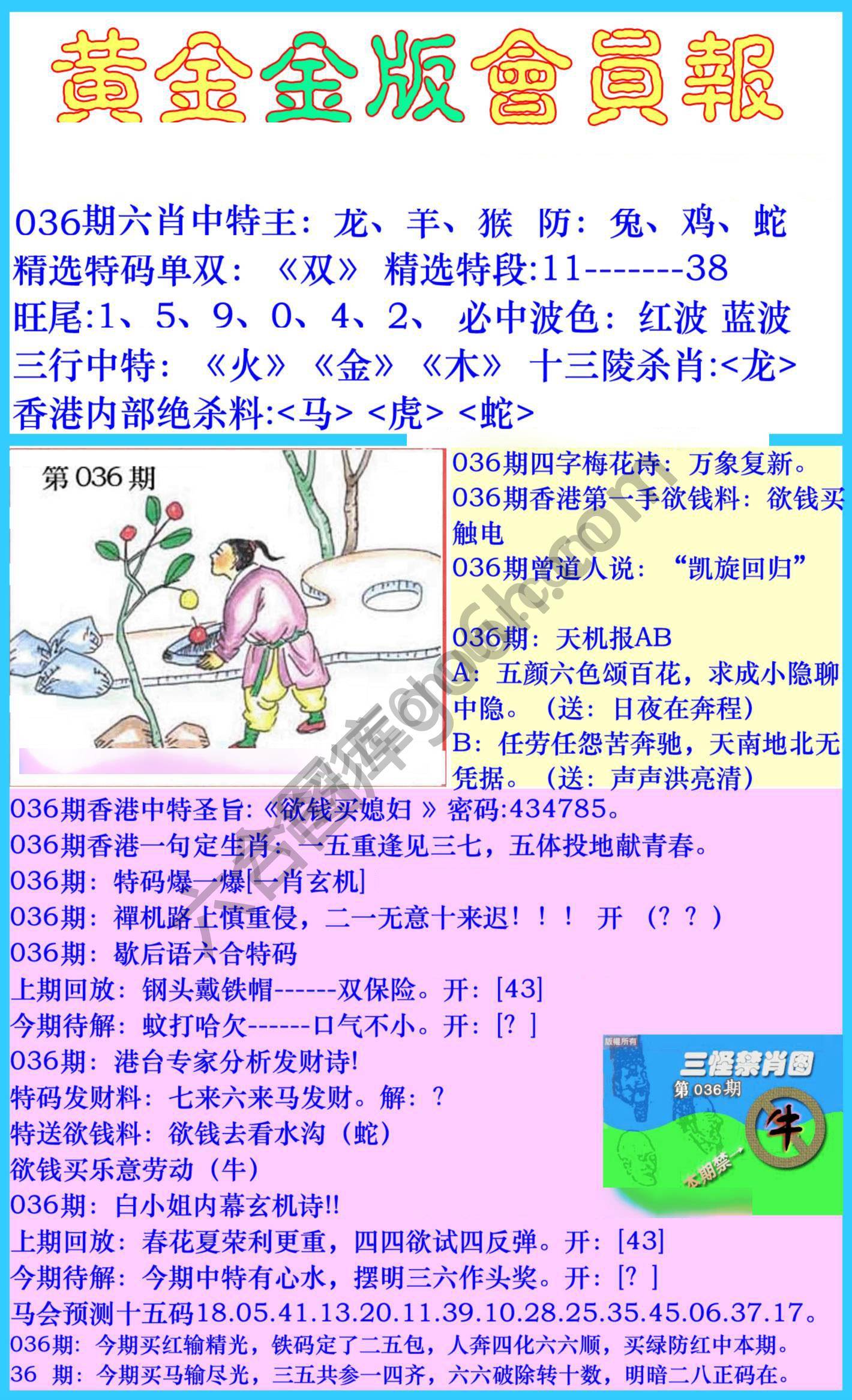 黄金金版会员报
