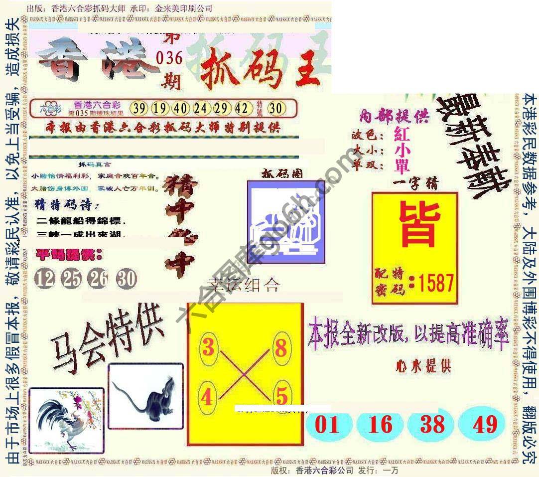 新抓码王