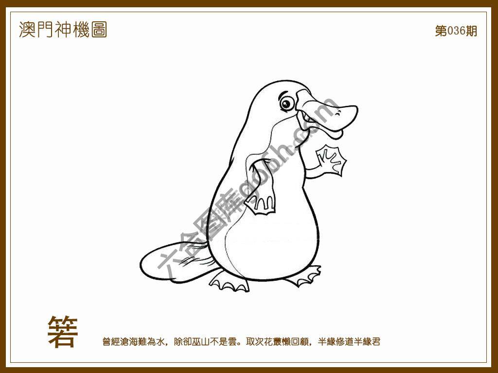 澳门神机图