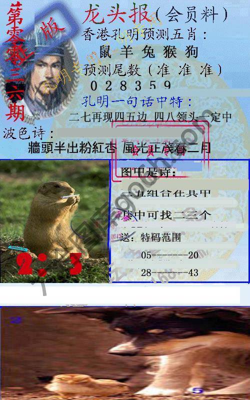 龙头报